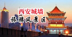 抽插护士小穴中国陕西-西安城墙旅游风景区