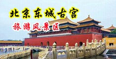 日本色色视频小说中国北京-东城古宫旅游风景区